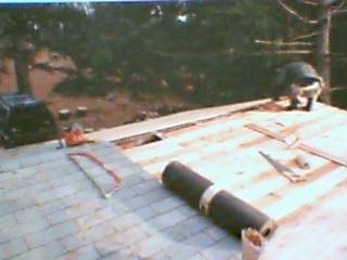 img15815469d24b7dd4c2.jpg