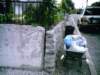sunp0236_small.jpg