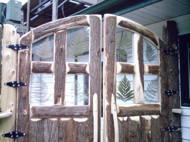 tphoto13.jpg